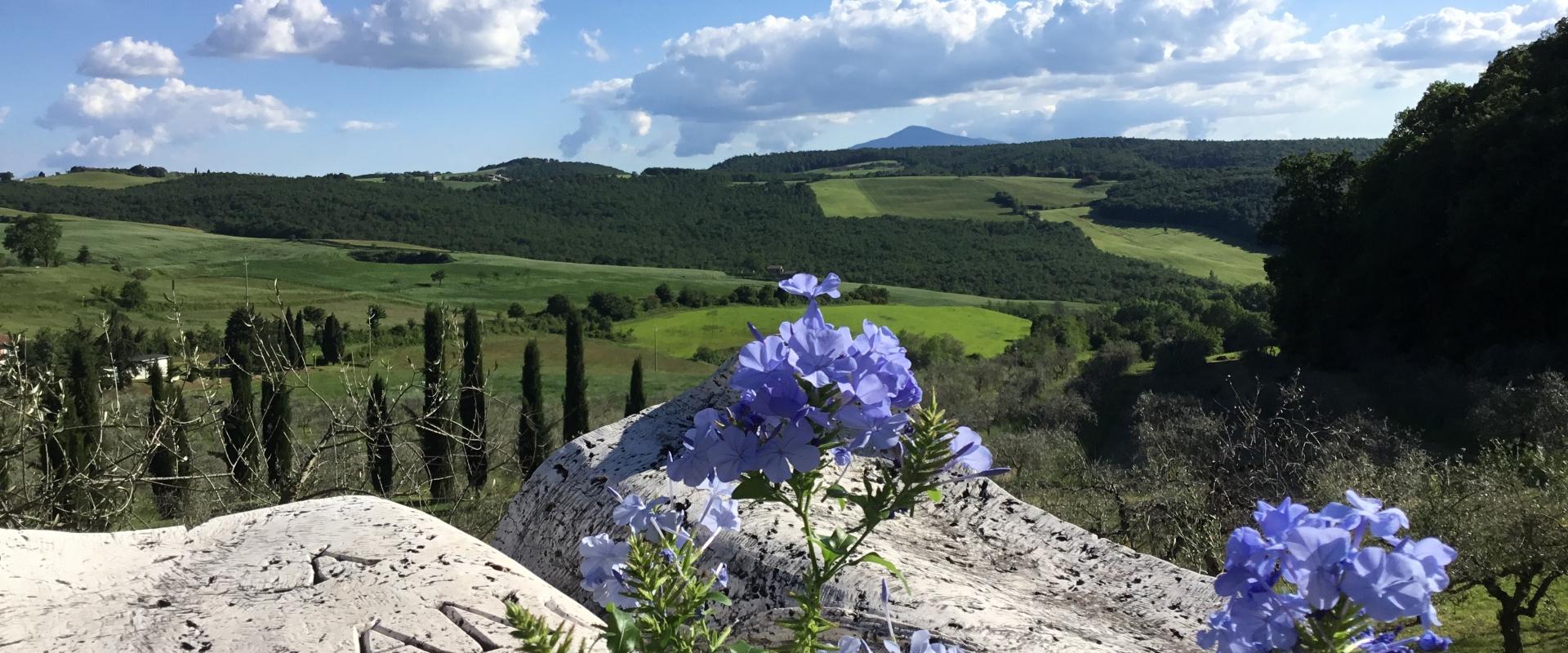 Paesaggio collinare con fiori blu in primo piano e cielo nuvoloso.