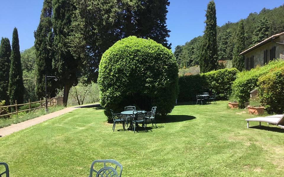 Giardino con tavoli e sedie, circondato da alberi e cespugli verdi.